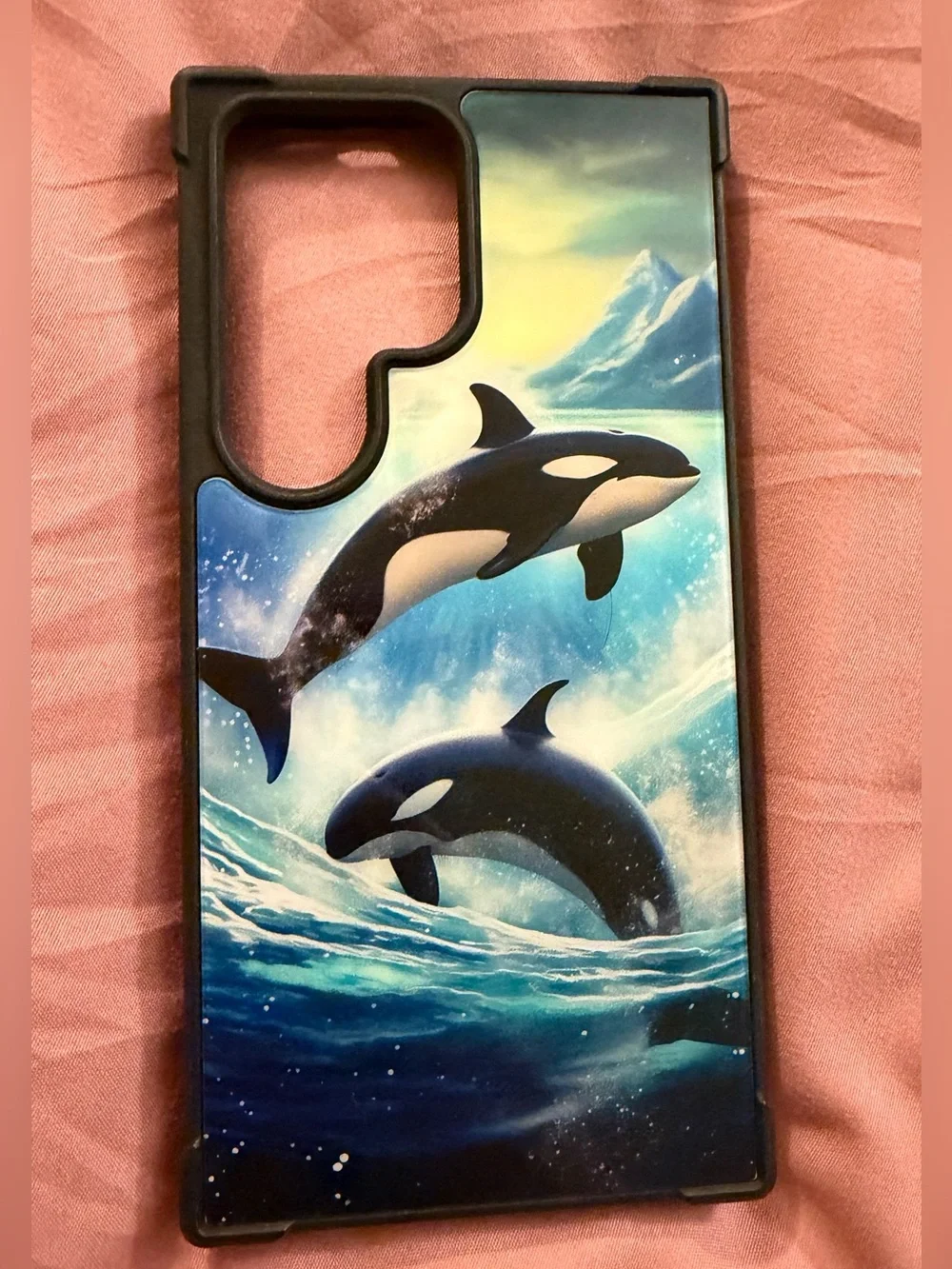 Orca S24 ulta case